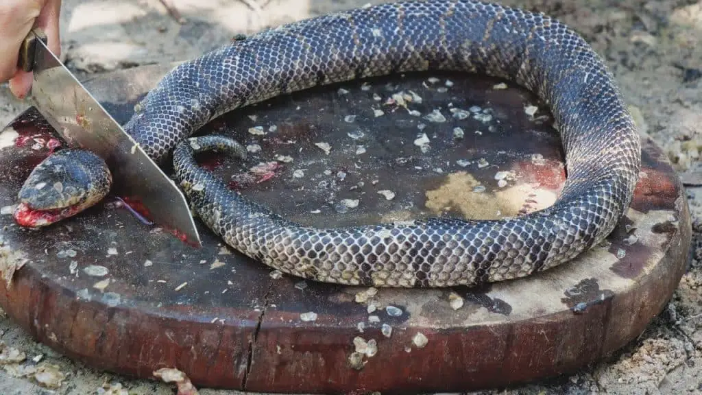 Someone cutting a snake's head with a knife on top of a round wooden board.