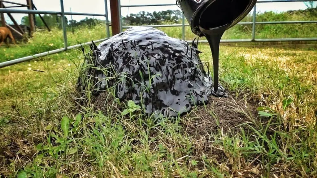 Sealing outdoor ant holes with a bucket full of hot black glue to prevent ant infestations