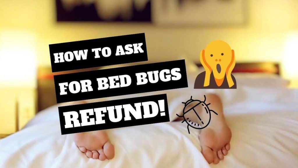 Illustration of someone in a bed for getting a bed bugs refund from booking.com
